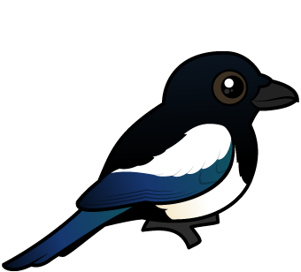 magpie